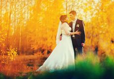 Осенние свадьбы в «Раздолье». Restaurants Omsk